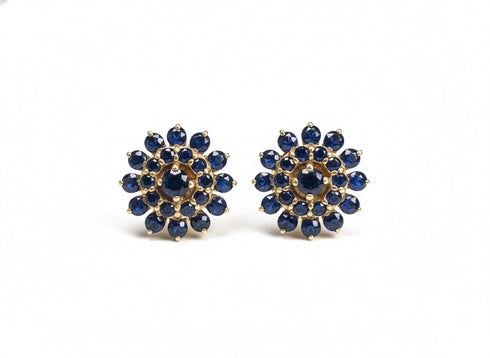 IOLITE STUDS