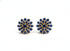 IOLITE STUDS