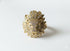 GOLD PAVE LION RING